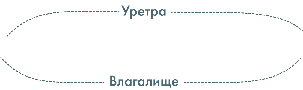 labels